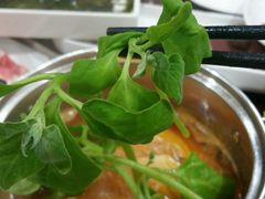 -蓝海西城宾馆四季火锅