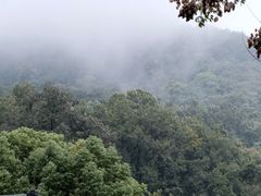 -杭州西湖风景名胜区-满觉陇四眼井