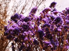 -盛邦家居建材广场