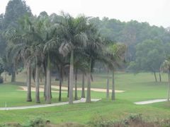 -松山湖南湖湾露营营地