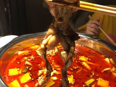 -宽口美蛙鱼头(大唐西市店)