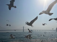 -星海广场