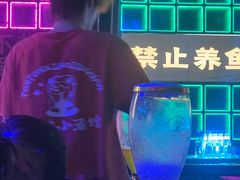 -Ton Ton吨吨小酒馆Live(观前街店)