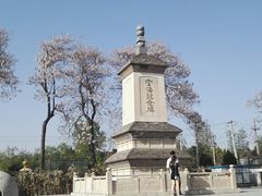 -西安青龙寺遗址景区