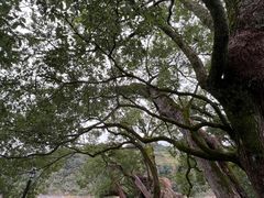 -新安江山水画廊风景区