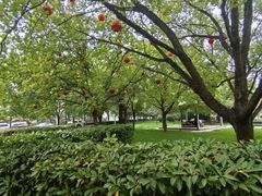 -唐城墙遗址公园