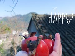 -丹山赤水风景名胜区