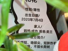 -轩客会(熊猫书店)