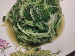 鸡毛菜-集贤门·徽菜(南山店)