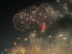 -九龙湖公园