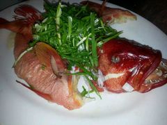 鲜星斑-伍月花酒楼