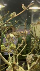 -Zoolung Zoolung动物主题公园(海信广场店)