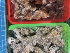 -望海潮海鲜店 特色家常菜(在海一方店)
