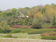 -宜兴龙背山森林公园