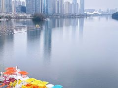 -梅溪湖城市岛