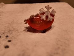 -程府宴(南长街四合院店)