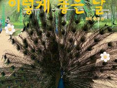 -苏州上方山国家森林公园