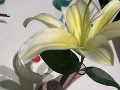 -聆桂烤鸭·金奖烤鸭(静联广场店)
