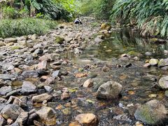 -福清灵石山国家森林公园
