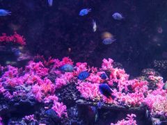 -北海·海洋之窗