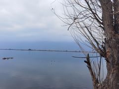-大理洱海