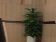 -尚荟汤泉生活馆
