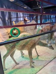 -酷嗒动物文化乐园(cutezoo西溪乐天城店)