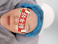 -纯粹医美