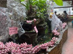 -园林美食城·本土农家菜(杨和镇店)