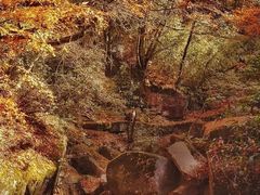 -光雾山旅游景区