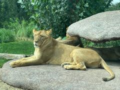 -北京野生动物园