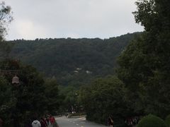 -普陀山风景名胜区-法雨禅寺