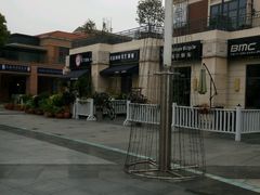 -吉丁鸟咖·异宠·寄养