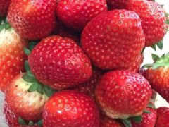 -槿妍花舍花艺生活馆(世纪港湾店)