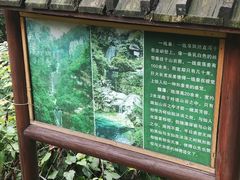 -庐山碧龙潭风景区