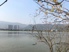 -长兴太湖图影湿地文化园