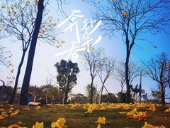 -白石龙音乐公园