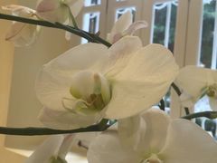 游乐设施-叶挺故居