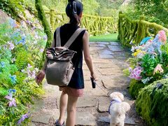 -沂蒙云瀑洞天景区