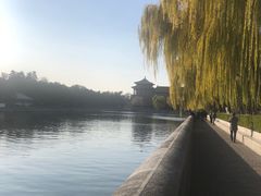 -北京市劳动人民文化宫(太庙)