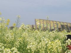 -中国天府农业博览园