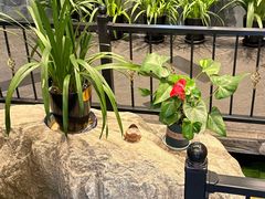 -山水雅居·江南雅宴(运河公园店)