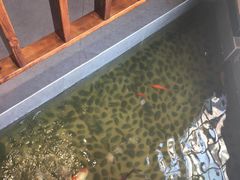 -尺山寸水日料(马桥满天星店)