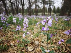 -北京大学(昌平校区)