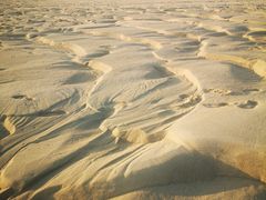 -北海金海湾红树林生态旅游区