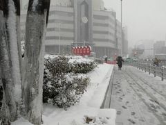 -多伦多海鲜自助餐厅(百盛购物中心三阳店)