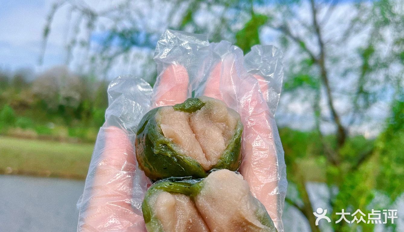 谁懂啊，这一口青团等了一年！