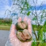 谁懂啊，这一口青团等了一年！