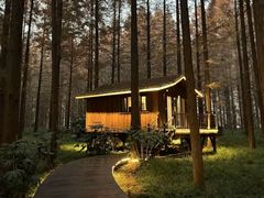 -黄海国家森林公园