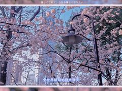 -静安雕塑公园
